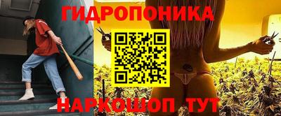 сатива Кингисепп