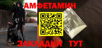 сатива Кингисепп