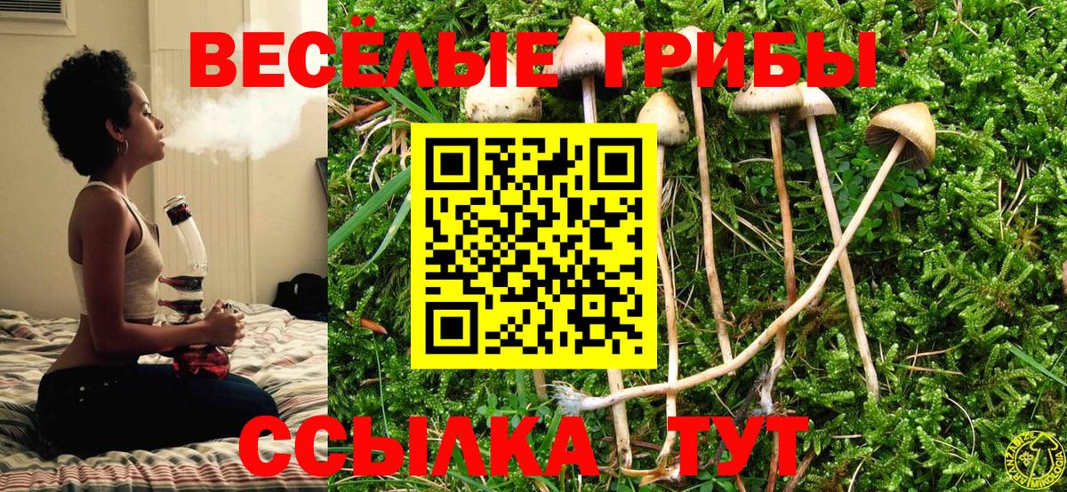 Галлюциногенные грибы Magic Shrooms Барабинск