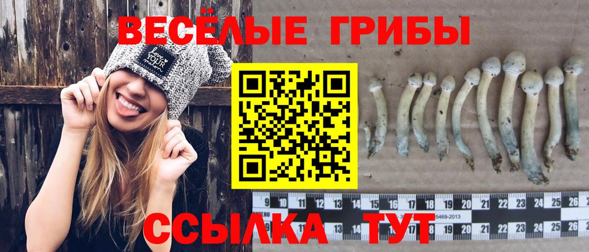 Псилоцибиновые грибы ЛСД  Вход с VPN  Псилоцибиновые грибы Cubensis  Барабинск 